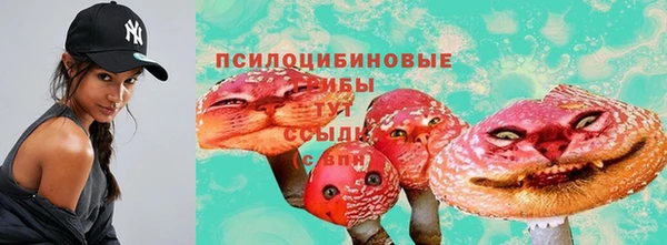 стафф Богородицк